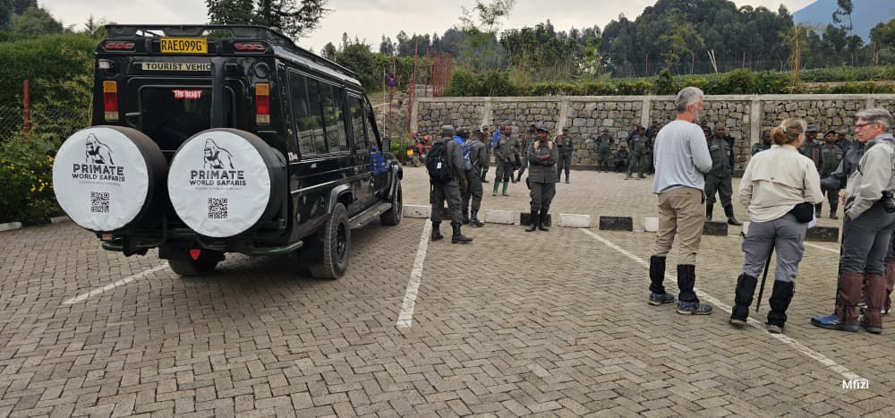 Best Time for Safaris in East Africa & Gorilla Trekking 