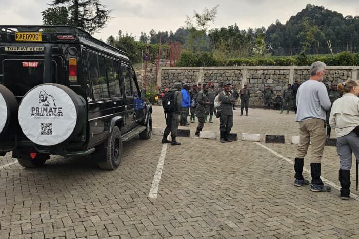 Honeymoon Safari in the Clouds