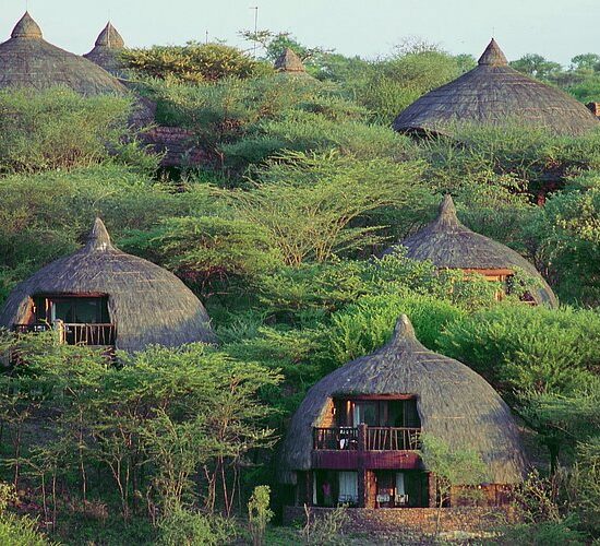 Eco-Friendly Lodges in the Serengeti