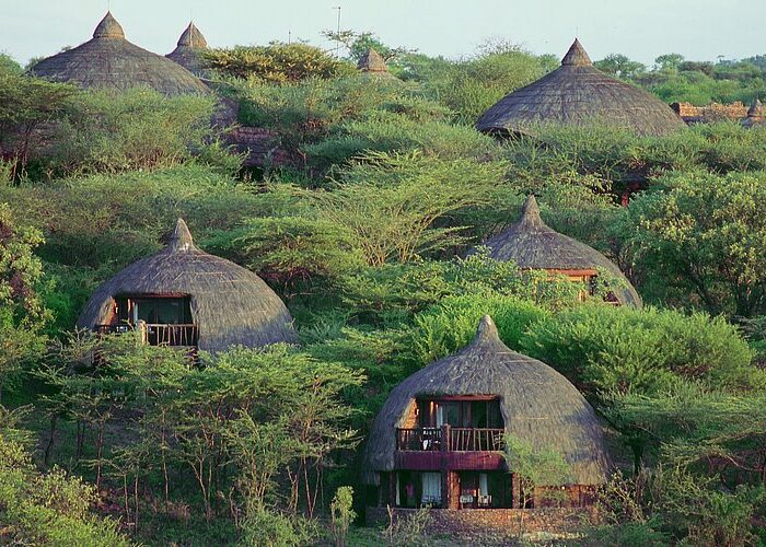 Eco-Friendly Lodges in the Serengeti