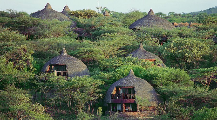 Eco-Friendly Lodges in the Serengeti