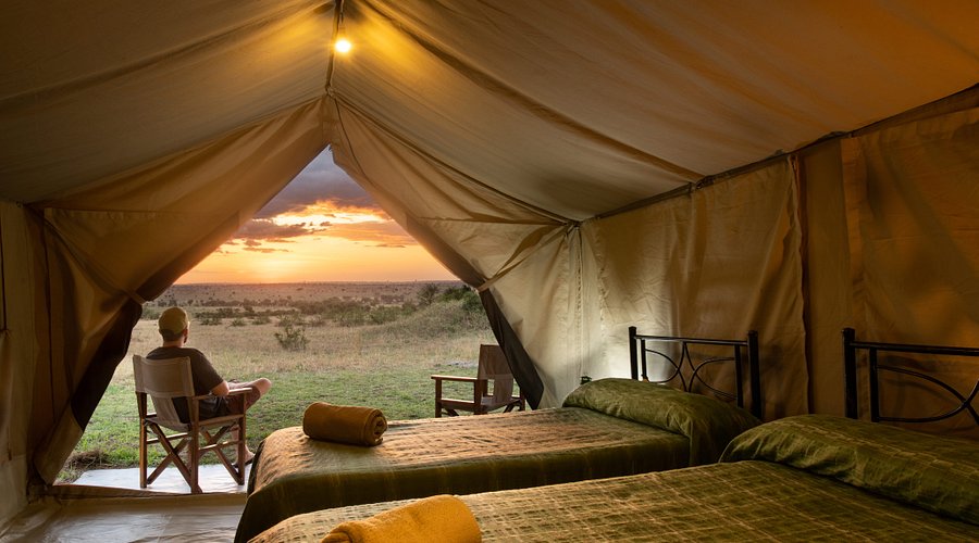 Eco-Friendly Lodges in the Serengeti