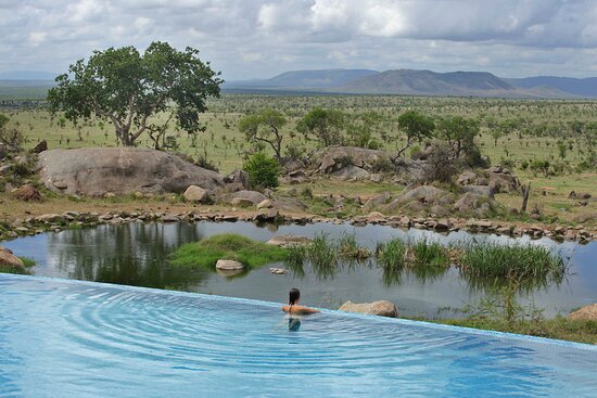 Eco-Friendly Lodges in the Serengeti