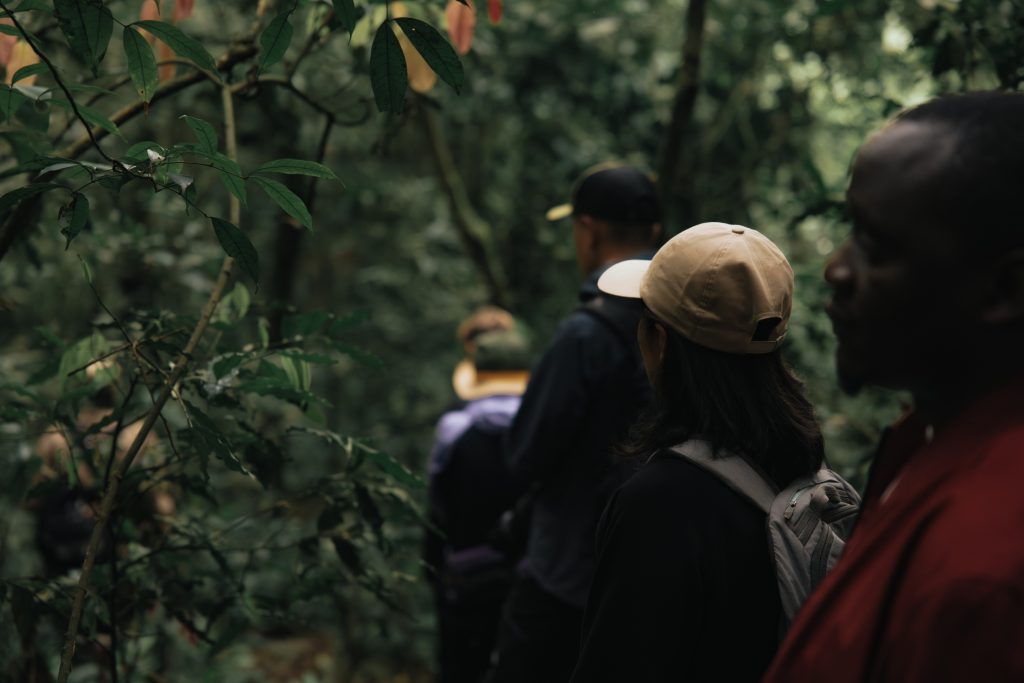 Your First Uganda Safari