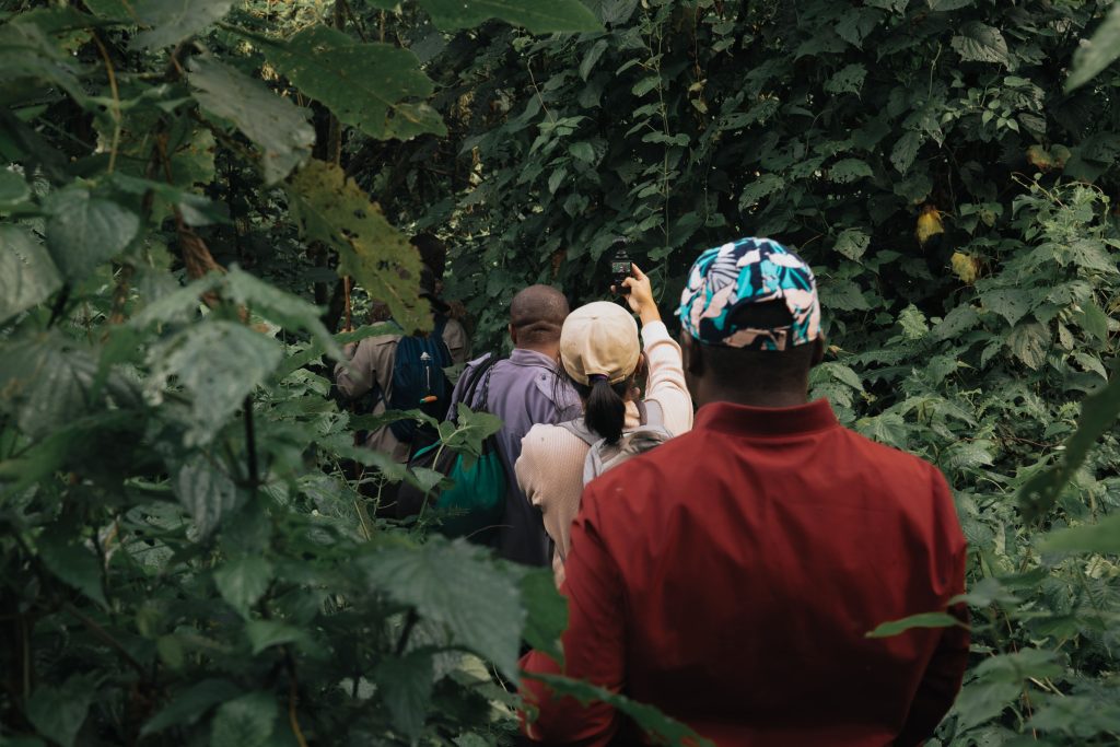 Planning Your Safari in November 