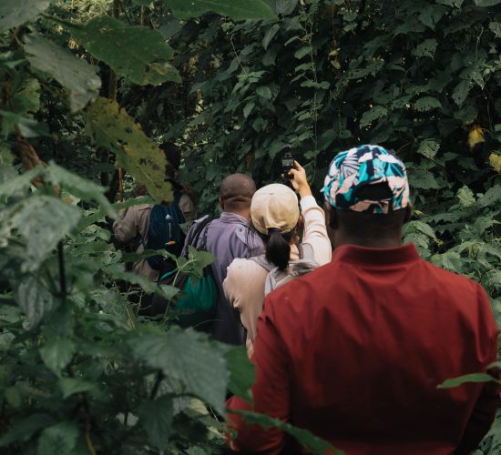 15 Days Uganda Adventure Tour