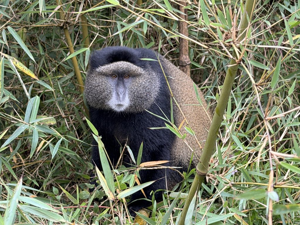 Places to Go This Summer in East Africa